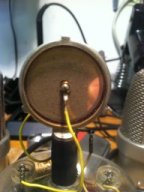 neumann capsule